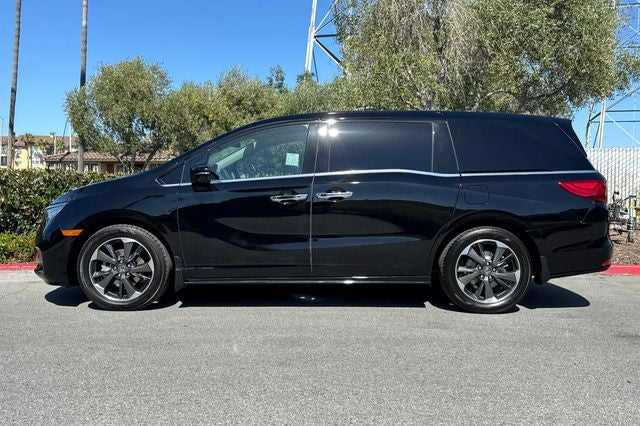 2024 Honda Odyssey Elite