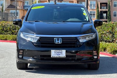 2024 Honda Odyssey Elite